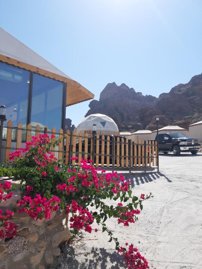The Rock Camp Petra Hotel Wadi Musa Ngoại thất bức ảnh